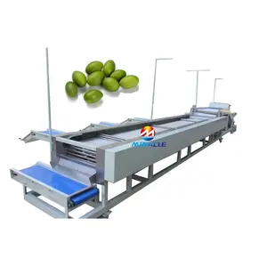 Four grades machine for sorting dates tomatoes olives with size grading rolling bars