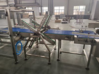 Robot de Colocación de Placas Automático Controlado por PLC, Sistema Robótico Industrial para Manipulación de Bandejas y Platos en Secadores por Congelación