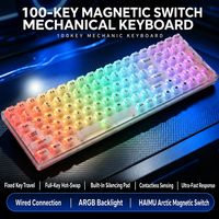 Clavier haut de gamme 100 touches transparent avec capuchons de touches, filaire TYPE-C, clavier de jeu personnalisé avec rétroéclairage RGB pour PC Gamer, idéal pour les cadeaux