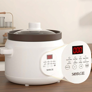 Cuisinière à mijoter électrique programmable Sorge avec couvercle en verre trempé, pot extérieur en plastique, capacité de 4 litres, contrôle numérique du minuterie, classe d'efficacité énergétique - Product Image 4