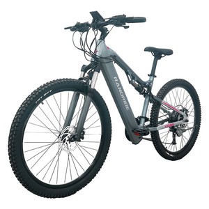 Bicicleta Eléctrica RANDRIDE YG90A, Motor de 1000W, Velocidad Máxima de 45 km/h, Batería de 48V 17Ah, Autonomía de 70-90 km, Neumático Trasero CST de 275x2.4'' - Product Image 2