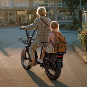 Vélo de livraison de nourriture Saibaike 750W à <span class=keywords><strong>2</strong></span> roues avec pneus larges, vitesse de 25 km/h, vélo <span class=keywords><strong>cargo</strong></span> familial, deux sièges pour enfants, vélos <span class=keywords><strong>cargo</strong></span> électriques - Product Image 2