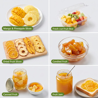 Keniaanse fruitverwerkingslijn 1-3t/u mango-ananas schillen, ontpitten en snijden voor plantageverwerking, Chinese fabrikant