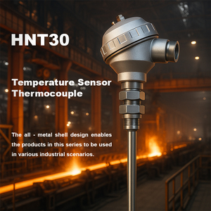 Công nghiệp PT100 k loại cặp nhiệt điện B R S Loại bạch kim Rhodium cảm biến nhiệt độ OEM/ODM hỗ trợ PT100 cặp nhiệt điện - Product Image 6