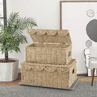 Ensemble de paniers de rangement en jonc de mer tressé, 2 couvercles à bord festonné, faits à la main, rectangulaires, organisateurs décoratifs, capacité 10-20L pour salon