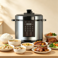 Cuisinière à pression électrique domestique 220V, corps en acier inoxydable, programmable, pour riz, soupes et yaourts