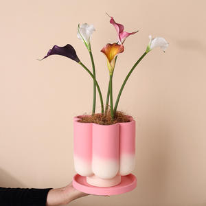 <span class=keywords><strong>Pot</strong></span> de fleurs en céramique rose à changement progressif de style nordique moderne, émaillé, écologique, respirant, 1-3L, pour orchidée Phalaenopsis, pour la maison - Product Image 2