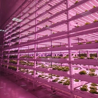 Usine verticale de culture intérieure multi-couches à climatisation automatique, facile à utiliser et à prix raisonnable