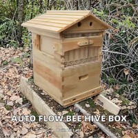Nouvelle vente chaude : Boîte à ruche en bois, prix compétitif, ruche à miel à écoulement automatique, garantie de 3 mois