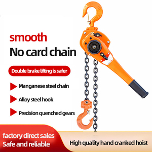 Nhà máy tùy chỉnh nhỏ của nhãn hiệu <span class=keywords><strong>LEVER</strong></span> <span class=keywords><strong>hoist</strong></span> 7kg 3 tấn 6 tấn 9 tấn Pull-Lift xây dựng chuỗi <span class=keywords><strong>LEVER</strong></span> Block <span class=keywords><strong>hoist</strong></span> - Product Image 2