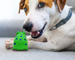 Güzel domuz şekilleri ultra dayanıklı yenilikçi lateks çiğneme köpek oyuncakları - Product Image 6