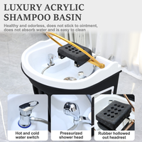 Bac de lavage capillaire professionnel pour salon de beauté et spa avec vaporisateur, portable, sans plomberie, connecteur pour lit de thérapie capillaire