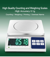 Balance numérique directe d'usine 1g 0.1g haute précision 30kg 40kg avec tour d'éclairage et interface RS232