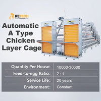 Conception avancée de cages à poulets à 3/4 niveaux pour élevages avicoles
