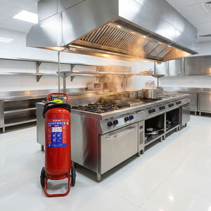 Fournisseur fiable d'extincteurs à poudre sèche ABC portables rouges, personnalisables, vente en gros, fabrication d'équipements de sécurité <span class=keywords><strong>incendie</strong></span> - Product Image 3