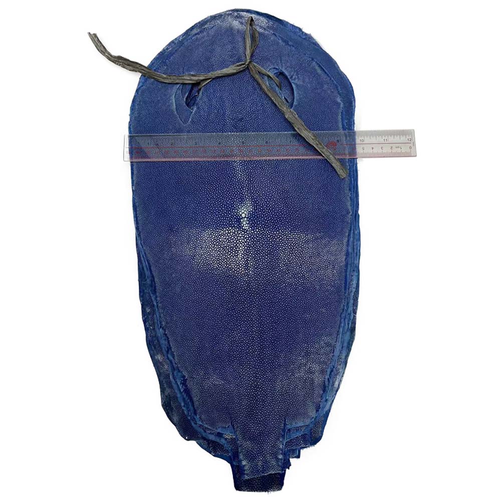 10#   5 pouces