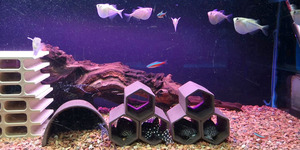 水族馆装饰品，斗鱼藏身鱼缸配件，虾慈鲷自然养殖隐藏洞穴石白色陶瓷 - Product Image 6