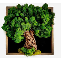 Vente en gros de véritables mâts stabilisés colorés Musgo Preservado Home Wall Panel Art Decor Bulk Sheet Natural Renne Préservé Moss