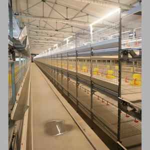 Nouvelles panneaux à démontage rapide et plateau compostable pour cages à poulets de chair H-Type durables à élevage circulaire pour familles éco-responsables, garantie 5 ans - Product Image 1