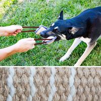 Nouveau jouet interactif à mâcher en lin écologique 2023 pour chiens - Entraînement à la morsure et à l'agilité pour chiots