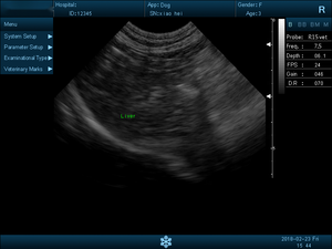 Dierenarts Ultrasound Groothandel Draagbare Handheld Zwart-Wit <span class=keywords><strong>Doppler</strong></span> Ultrasound Apparaat met Probe - Product Image 4
