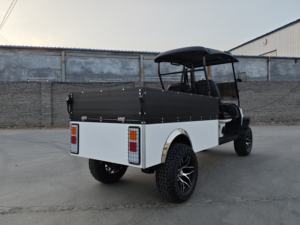 New Energy Vehicles Club Car Golf Cart Cargo Box - Product Image 3