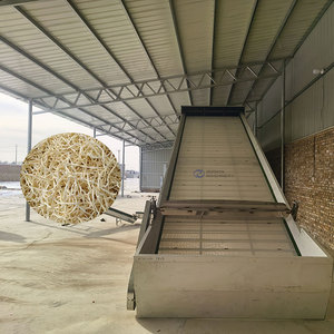 Séchoir à bande maillée haute efficacité pour légumes, séchoir à bande maillée pour tranches de papaye, machine de séchage de papaye - Product Image 1