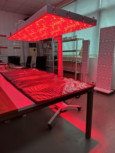 Panel LED Inframerah Berintensitas Tinggi dengan Garansi 5 Tahun untuk Pemulihan Otot di Gym, Perangkat Terapi Cahaya Merah untuk Seluruh Tubuh Berdiri - Product Image 4