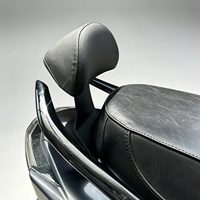 Accoudoirs de moto pour LINGHAI CYGNUS-X Quatrième et Cinqième Génération – Poignées Arrière Gauche et Droite