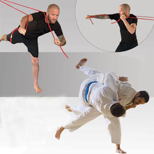 Elastis latihan kekuatan gulat resistensi band Kebugaran & Latihan rumah latihan Solo - Product Image 6