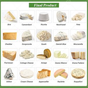 เครื่องอัดชีสมาสคาโปนฮัลโลมีขนาดเล็กสายการผลิต50ลิตร200L 20000ลิตร - Product Image 3