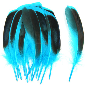 Plumas <span class=keywords><strong>de</strong></span> Pato Naturales Teñidas Directamente, 10-15 cm, Buena Calidad, para Manualidades, Joyería <span class=keywords><strong>y</strong></span> Decoración, Oferta - Product Image 6