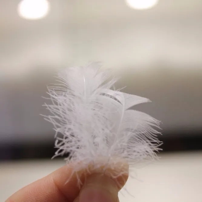 Plumas estándar europeas de alta calidad, venta al por mayor, pluma y plumón de pato blanco lavable a máquina de China