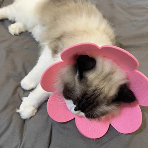 伊丽莎白锥猫手术后保护项圈防舔猫狗护颈 - Product Image 2