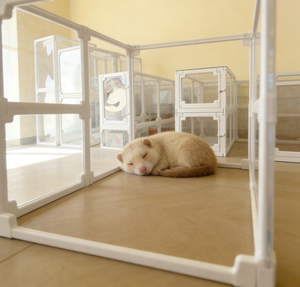 Recinto Moderno Trasparente in ABS/PET per Porcellini d'India e Cani con Design Perforato, Facile Installazione, Sicurezza per Interni. - Product Image 6