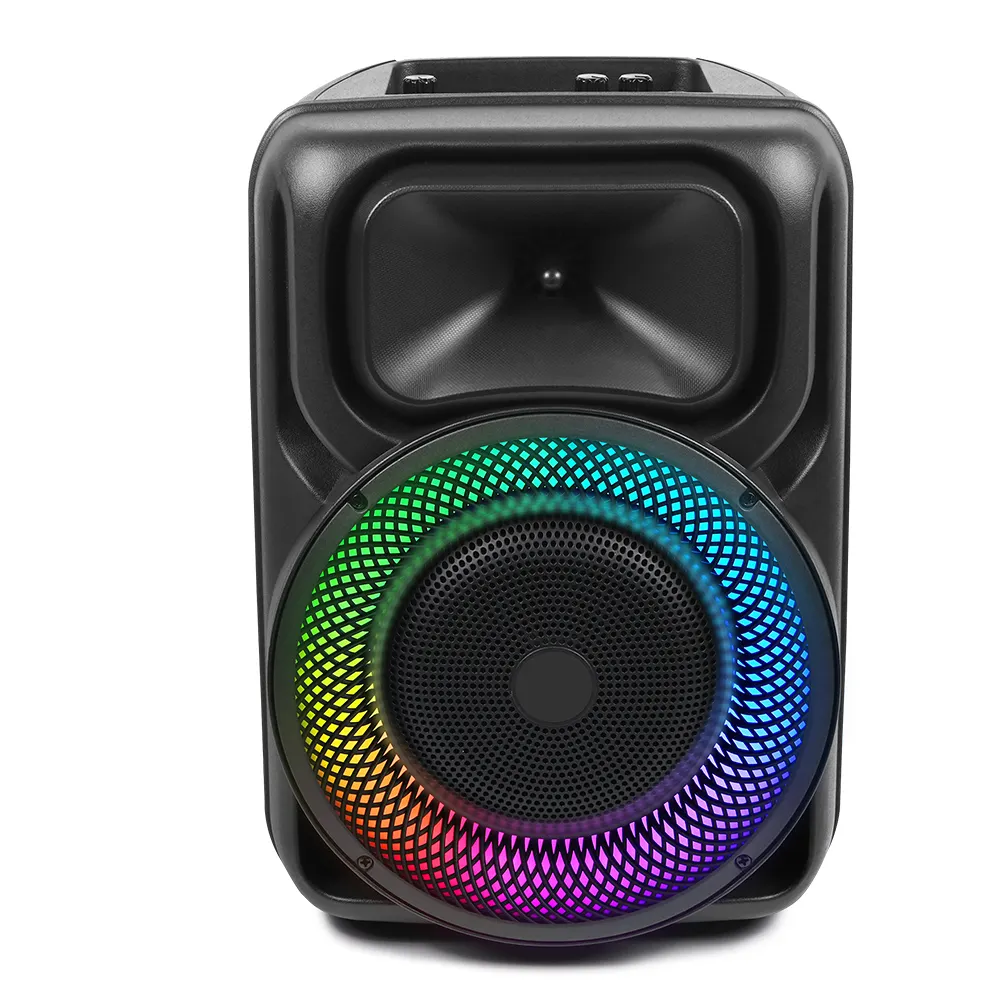 Speaker Amplified portabel Bluetooth DJ, pengeras suara Audio dengan Subwoofer dan mikrofon nirkabel Speaker pesta