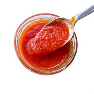 Wholesale Price Premium Quality Best Selling Export Quality Factory Direct Supply <b>Hot</b> Chili Sauce 500g - Product Image 1
