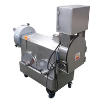 Commerciële Tweekoppige Snijmachine Hakselaar Shredder Snijder Voor Wortels Bladachtige Tomaten Fruit Groenten Slice Cutter Motor
