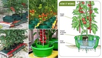 Jardinière de tomates auto-arrosante Pot goutte à goutte en plastique Planteur de culture Pots de plantes de tomates Pot de jardin Planteur