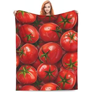 Assorted Print Cheese Flannel Blanket Throw Blanket Nap Blanket Wholesale Skin Friendly Reversible for Winter Warmth - Product Image 1