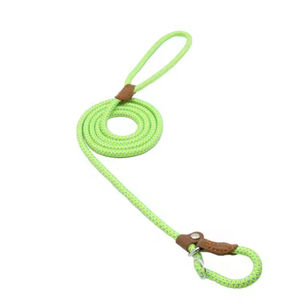 Correa de Nylon Suave Clásica para Perros, con Resorte, Resistente, para Pasear Mascotas, Fabricada en China, Nueva en Stock - Product Image 2