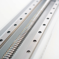 Modul Linear Sekrup Bola Aktuator Aluminium Tugas Berat dengan Inti Motor dan Rel Pandu Ganda