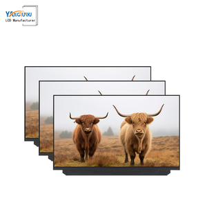 120Hz IPS <span class=keywords><strong>LCD</strong></span> module 12.5 inch a-si TFT-<span class=keywords><strong>LCD</strong></span> hiển thị bảng điều khiển 1920x1080 pixel Độ phân giải 400 nits độ sáng đầy đủ góc nhìn - Product Image 6