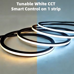 Bande LED Néon Noire CCT Réglable Étanche IP67 15*15mm DC24V Lumière Numérique Souple pour Éclairage d'Ambiance de Sauna avec Garantie de 5 Ans - Product Image 2