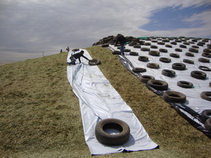 Film plastique noir et blanc de qualité 5MIL 6MIL 24' X 100' Film Panda Feed Fresh Silage Cover Barrière contre les vapeurs Silage Tarp - Product Image 4