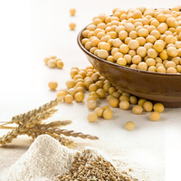 Vente en gros assaisonnement pour les supermarchés, aliments, sauce de haricots noirs, nouilles avec pâte de soja