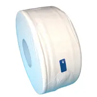 Wholesale High Quality 2ply 15gsm 300m Jumbo Roll Tissue Toilet Paper