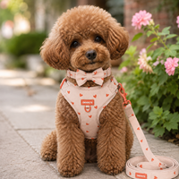 Harnais pour chien de luxe personnalisés en gros avec logo, bandes réfléchissantes haute visibilité, ensemble de harnais pour chien imprimé cœur rose blush