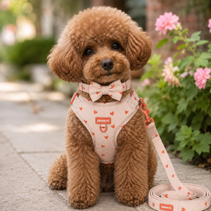 Arneses de Lujo para Perros con Logotipo Personalizado al por Mayor, con Tiras Reflectantes de Alta Visibilidad, Conjunto de Arnés para <span class=keywords><strong>Perro</strong></span> con Estampado de Corazón Rosa - Product Image 2