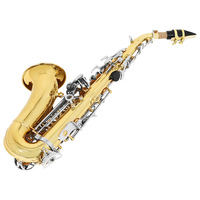 Bb Curved Soprano Saxophone Gold Lacquer Body Nickel Plated Keys Adjustable Professional Woodwind Musical Instrument for